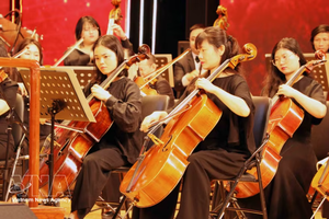“新年音乐会”（New Year Concert）艺术晚会在海防市凤凰花剧院的现代艺术空间内倾情上演。图自越通社