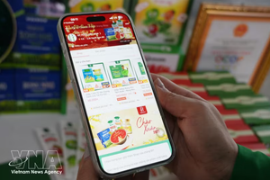 附图。图自越通社