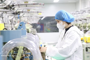 外国直接投资企业群体期待，不断深化的制度革新将营造一个公开透明、持续稳定且更具竞争优势的法律环境。图片来源： 越通社