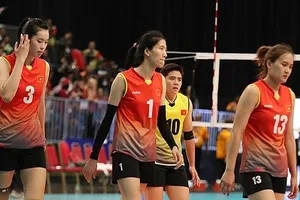 Rất nhiều người hâm mộ mong muốn đội tuyển nữ phải có 1 HLV thật hiệu quả. Ảnh: ĐÔNG HUYỀN