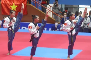 Liên đoàn taekwondo Việt Nam phải dời khóa bồi dưỡng chuyên môn sang năm sau. Ảnh: TaekwondoVN