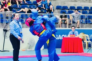 Võ sỹ vovinam cả nước đã tranh tài tại Nghệ An để đạt các kết quả tốt nhất. Ảnh: MINH MINH
