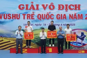 Ban tổ chức trao cờ cho các đơn vị dẫn đầu ở nội dung taolu tại giải. Ảnh: VŨ VĂN