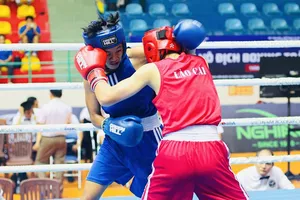 VĐV quyền Anh cả nước sẽ thi đấu giành các tấm huy chương cao nhất giải vô địch quốc gia 2025 sắp khởi tranh. Ảnh: VBF