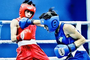 Các VĐV tranh tài tại giải vô địch boxing quốc gia 2025. Ảnh: HÀ PHẠM HỒNG LONG