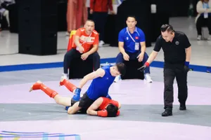 Môn MMA không tính kết quả vào bảng tổng sắp huy chương SEA Games 33-2025. Ảnh: DŨNG PHƯƠNG