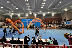 Nhiều hoạt động về võ thuật sẽ được tổ chức tại Festival võ thuật quốc tế Hà Nội 2026. Ảnh: NGÂN HÀ