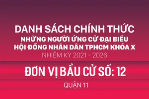 Đơn vị bầu cử số: 12 (quận 11)