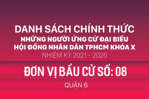 Đơn vị bầu cử số: 08 (quận 6)