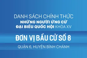 Đơn vị bầu cử số 8 (quận 6, huyện Bình Chánh)