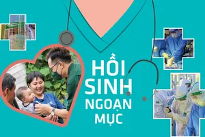 Hồi sinh ngoạn mục