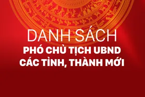 Danh sách phó chủ tịch UBND các tỉnh, thành sau hợp nhất