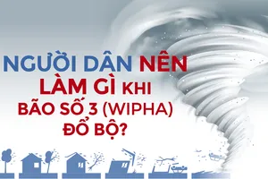 Người dân nên làm gì khi bão số 3 (Wipha) đổ bộ?