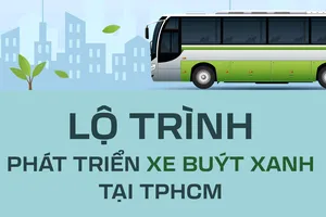 Lộ trình phát triển xe buýt xanh tại TPHCM