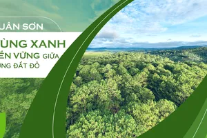 Xuân Sơn - Vùng xanh bền vững giữa vùng đất đỏ