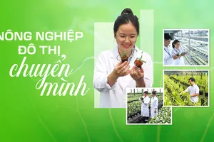 Nông nghiệp đô thị chuyển mình
