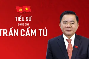 Tiểu sử đồng chí Trần Cẩm Tú