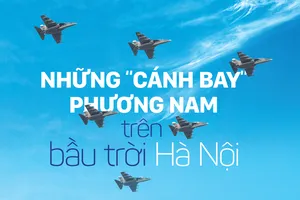 Những “cánh bay” phương Nam trên bầu trời Hà Nội