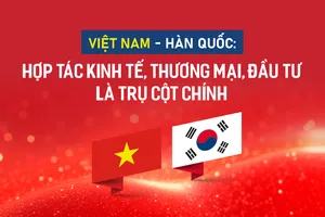 Việt Nam - Hàn Quốc: Hợp tác kinh tế, thương mại, đầu tư là trụ cột chính