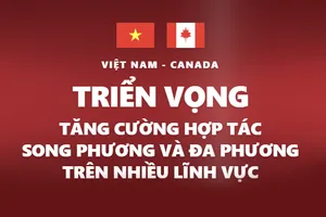 Việt Nam - Canada: Triển vọng hợp tác rộng mở 