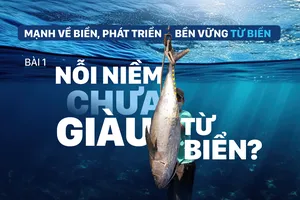 Mạnh về biển, phát triển bền vững từ biển - Bài 1: Nỗi niềm chưa giàu từ biển