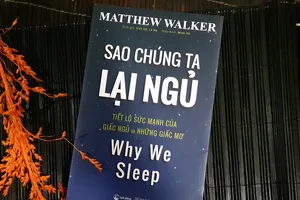 Khám phá sức mạnh của giấc ngủ