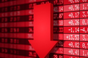 Investors holding FLC shares suffer heavy losses