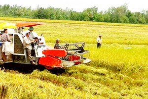 Mekong Delta set to become agricultural economic hub by 2030