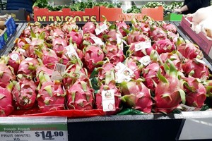 Vietnamese dragon fruits continuously arrive in Australia
