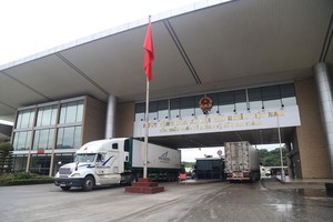 Vietnam exports 287 tons of farm produce to China through Lao Cai from Feb 1-3