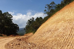 Truong Son Dong Road's investor blatantly destroys 15ha of special-use forest