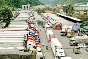 Lang Son Province stops receiving fruit trucks from Feb 16