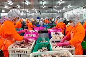 Pangasius exports exceed US$1.62 billion in 2021