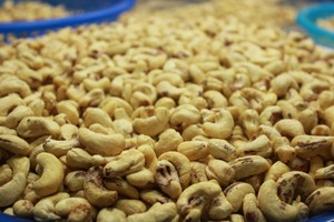 100 containers of cashew nuts exported to Italy suspected of being scammed