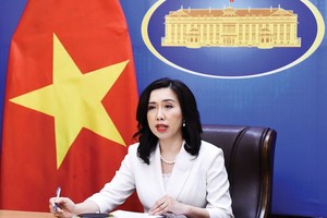 FM emphasizes protection of Vietnamese enterprises' legitimate interests