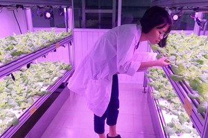 National University HCMC promotes research, technology transfer in agriculture