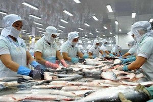 Six more pangasius processing factories eligible to export to US