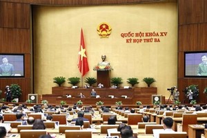 Government proposes delay to submission of draft amended Land Law to NA