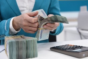 Vietnam jumps nine places in Open Budget Survey 2021