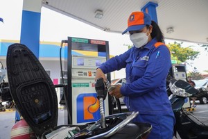 MoF proposes reductions for four types of taxes on petroleum products