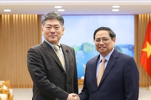 Vietnam proposes Japan help in law-making capacity building