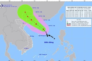 PM demands urgent actions in response to powerful storm Chaba
