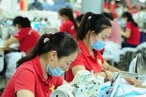 More than 19,000 enterprises join, return to market every month