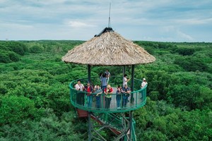 HCMC highlights local cultures to ignite urban tourism