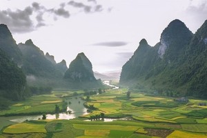 Urgent need to revive international tourism