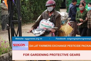 Da Lat farmers exchange pesticide packaging for gardening protective gears