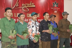 Ten thousand Ngoc Linh ginseng plants provided to poor households for free