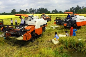 Reducing amount of seeds for direct seeding – key to success of rice