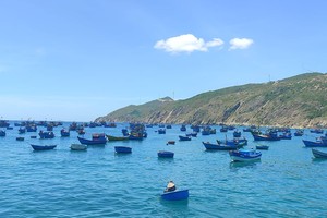 Removal of fishing “yellow card” an urgent task: Deputy PM