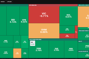 Market shakes strongly, VN-Index recovers thanks to blue-chip stocks